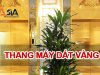 Lắp đặt thang máy dát vàng có thật sự cần nhiều tiền?