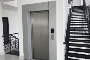 Thang máy gia đình mini - món nội thất giao thoa công nghệ và thẩm mỹ