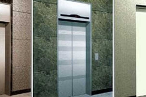 Cửa cabin thang máy thuỷ lực - Những mẫu thiết kế hot nhất