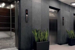 Cửa tầng thang máy thuỷ lực - Thiết kế hiện đại, an toàn 