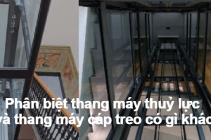 Cách phân biệt thang máy thuỷ lực và thang máy cáp treo