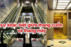 Tiết lộ sự khác biệt giữa thang cuốn và thang máy