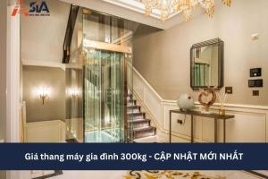 Giá thang máy gia đình 300kg - CẬP NHẬT MỚI NHẤT