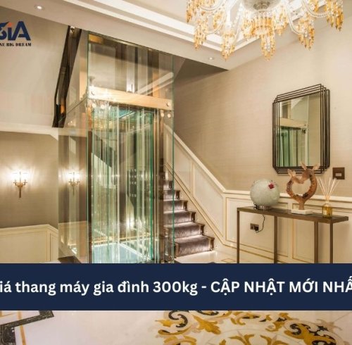 Giá thang máy gia đình 300kg - CẬP NHẬT MỚI NHẤT