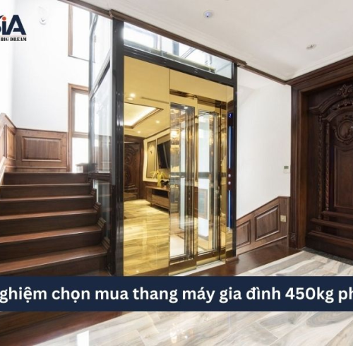 Kinh nghiệm chọn mua thang máy gia đình 450kg phù hợp