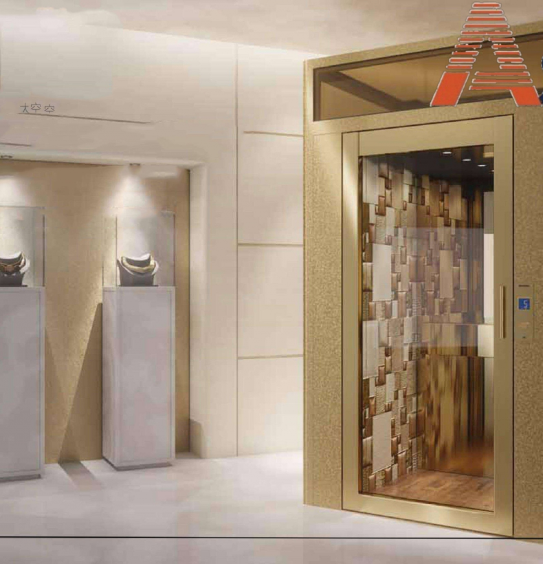 THANG MÁY GIA ĐÌNH NHỎ KHÔNG HỐ PIT
