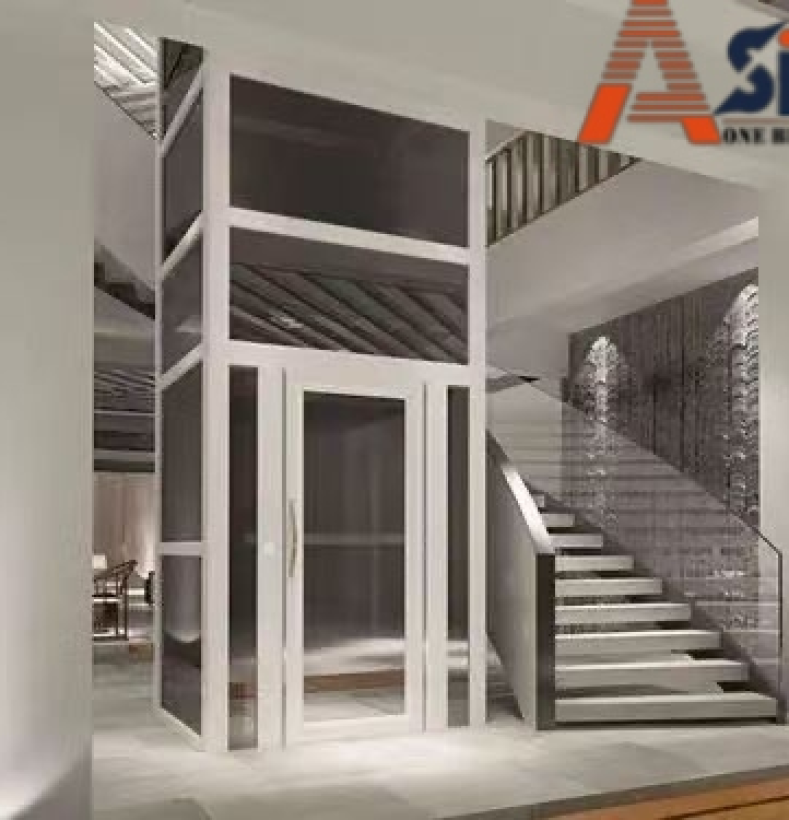 Thang máy thuỷ lực Asia 3